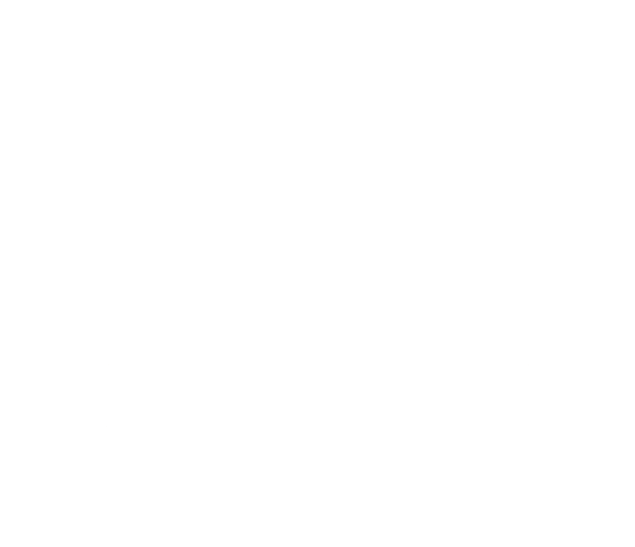 Fine & Feuilletée